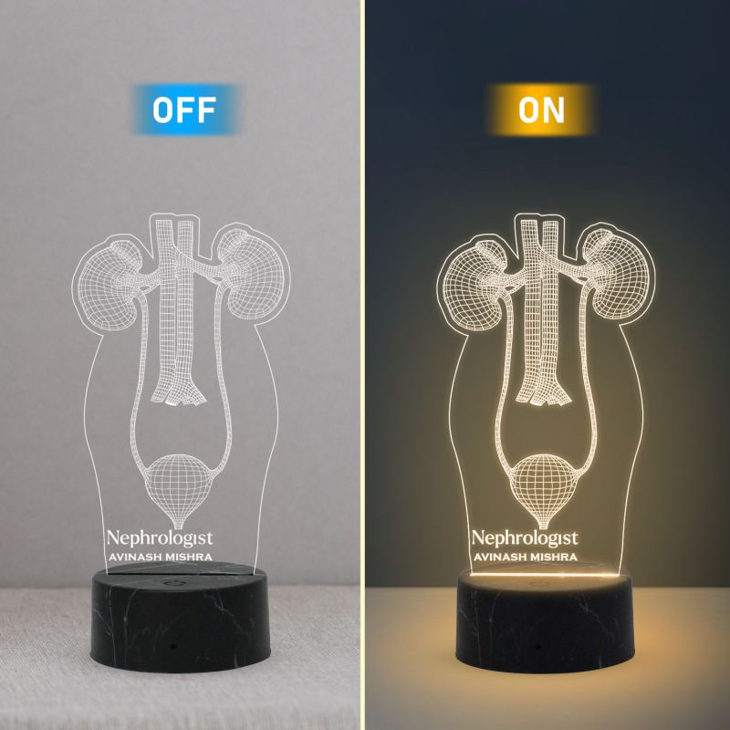 3D Illusion Kidney Acrylic Led Lamp Nephrologist Gift 3D Kidney Doctor Gifts